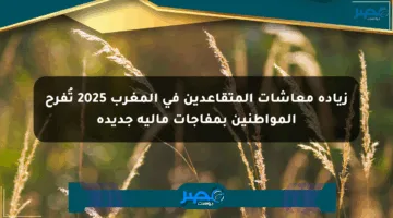 زيادة معاشات المتقاعدين في المغرب 2025 تُفرح المواطنين بمفاجآت مالية جديدة